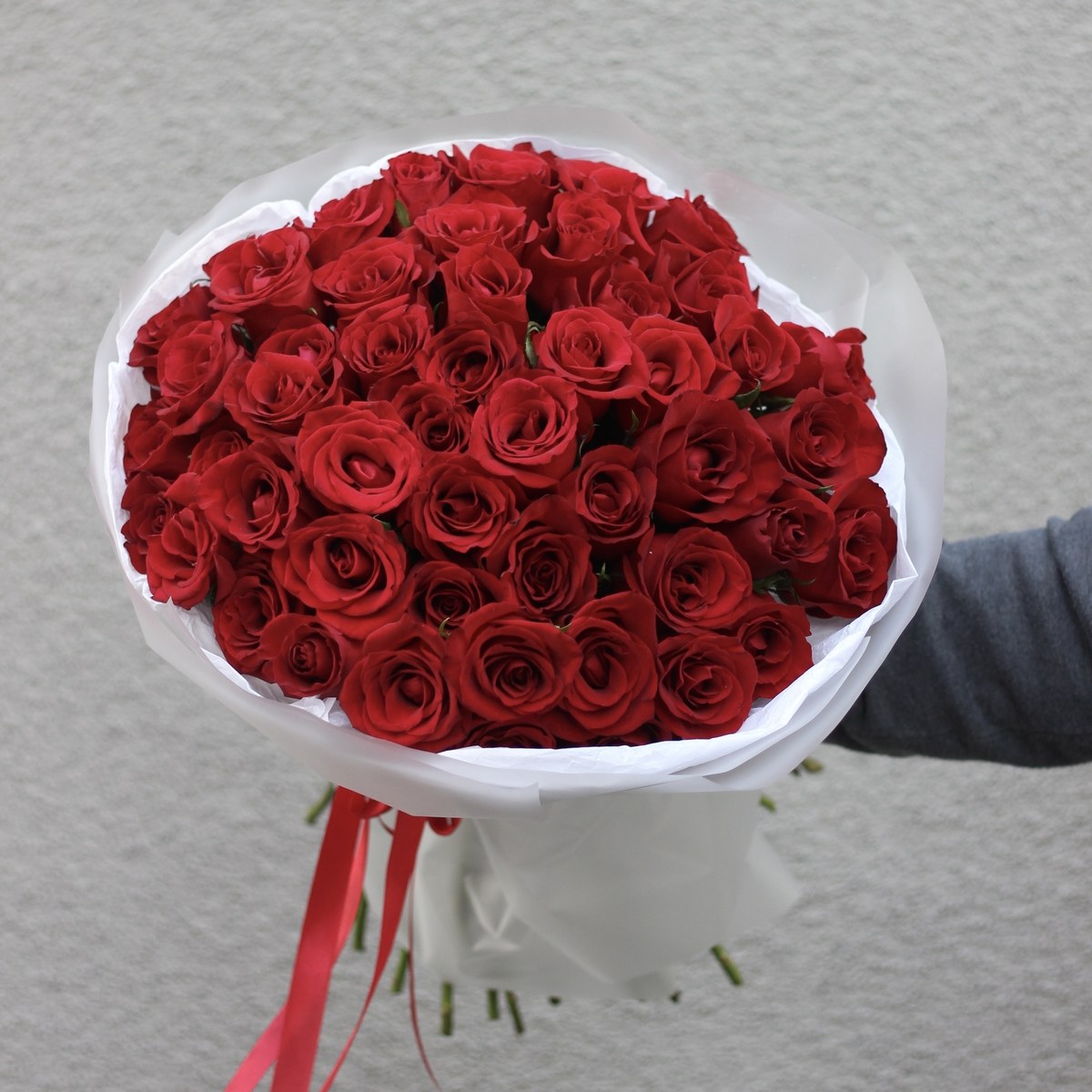 51 krasnaya roza 148